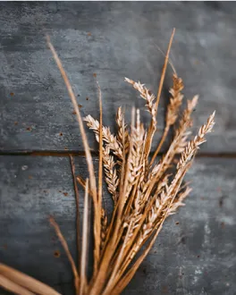 brewed to the highest quality